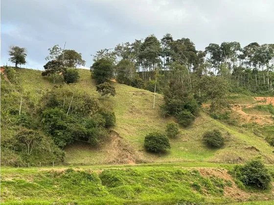 Venta De Terreno En Yolombo, Antioquia 