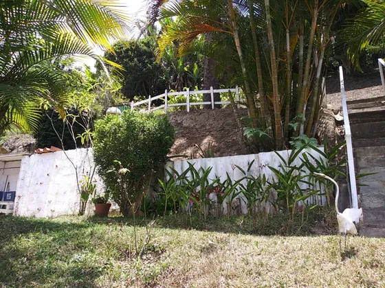 Casa En Venta A Remodelar En La Suiza, Sector San Luis