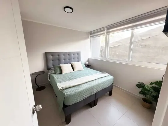 Depto 1d / 1b Amoblado / Apto Airbnb (172277)