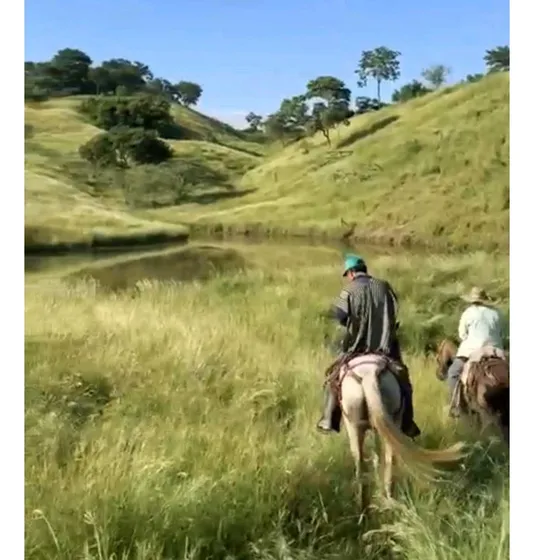 Finca Ganadera En La Vía Girardot-honda Antes De Llegar Beltran C/mca.