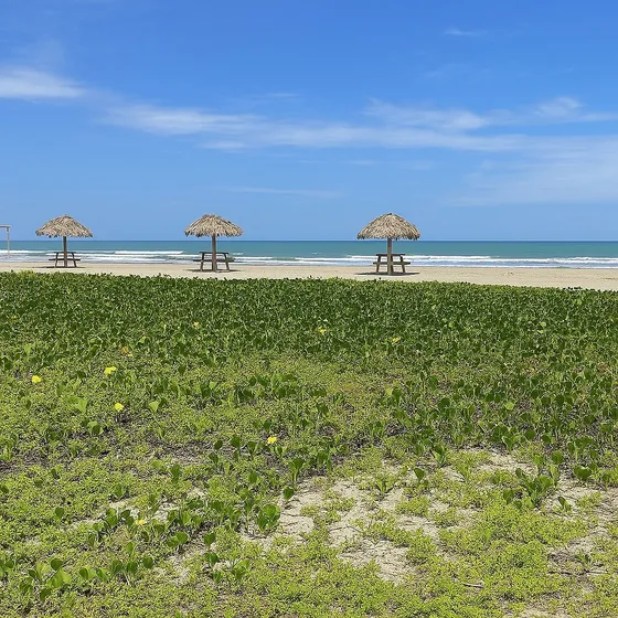 Terreno En Venta En Canoa, Ecuador, Frente Al Mar - Beachfront Lot For Sale In Canoa, Ecuador