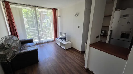 Arriendo Departamento En Barrio Brasil (136278)