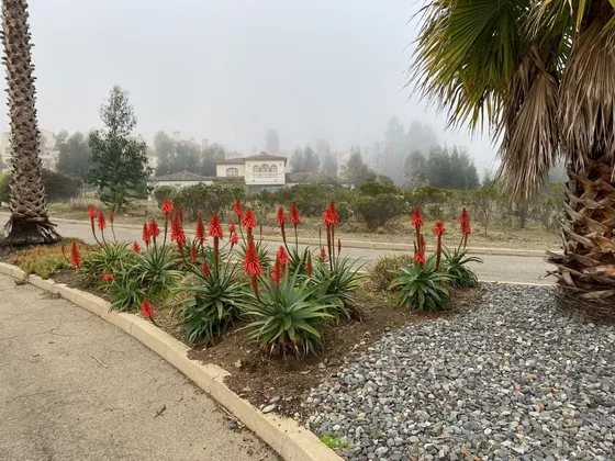 Terreno En Condominio Santa Augusta De Quintay