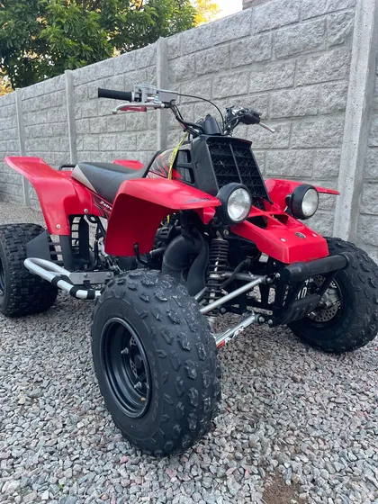 Cuatriciclo Bashee 350