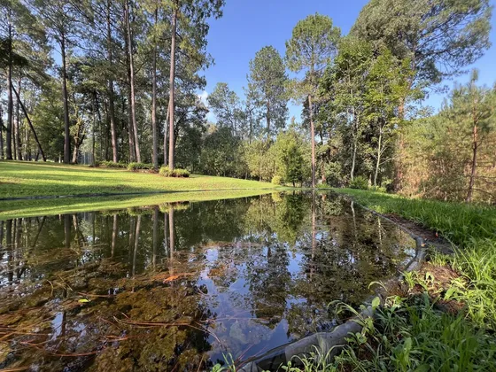 Rancho El Varal