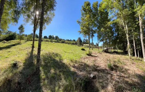Hermosa Parcela En Rebellín Alto A 10 Minutos De Valdivia