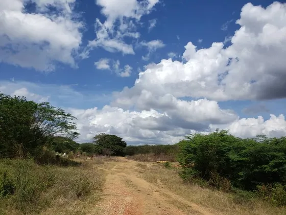 Venta Deterreno En Santa Teresa Del Tuy, Miranda - Inmobiliaria Maggi 1043.