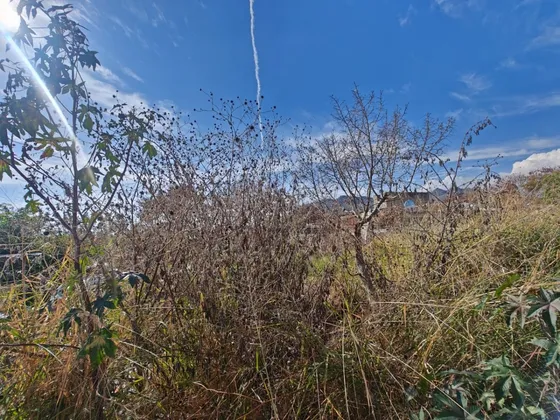 Terreno En Venta En Oaxtepec Con Bardas Propias.