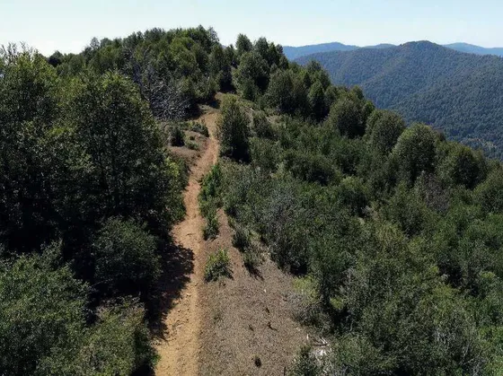 Venta - Vilcún - 126 Hectáreas