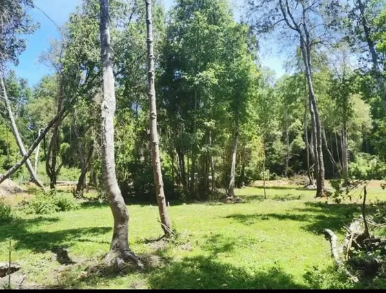 Parcelas En Venta Acceso Rio, 7 Total