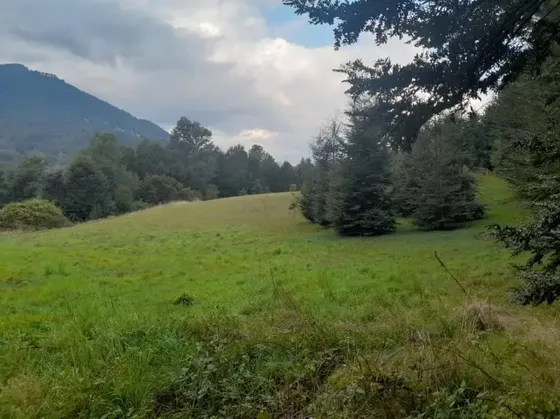Hermosa Parcela En Pucón, Camino Termas Del Huife