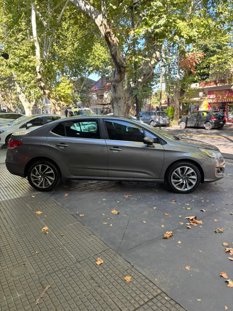 Miniatura 8