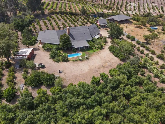Agrícola Amoblada Y Con Paltos En Venta En Melipilla
