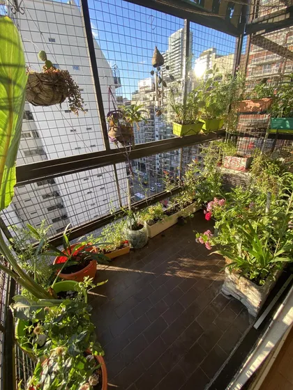 Departamento En Colegiales