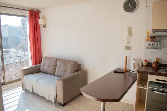 Arriendo Depto Amoblado 1 Habitación - Metro Toesca (5191)