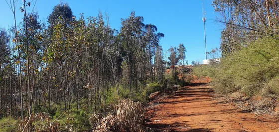 Veridika Arrienda Terreno De 8000m2 En Camino La Pólvora.