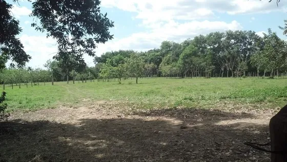 Finca Ganadera De 100 Taras Acepto Bitcoin Y Criptomonedas, Vehiculo U Una Casa De 3.5m