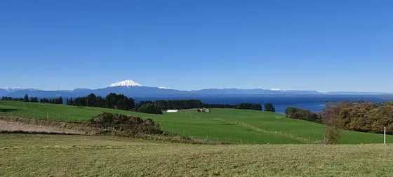 Con Hermosa Vista
