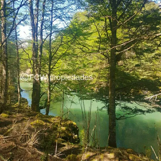 Carretera Austral (64786)