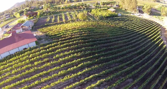 Viña Las Praderas De Codigua Melipilla