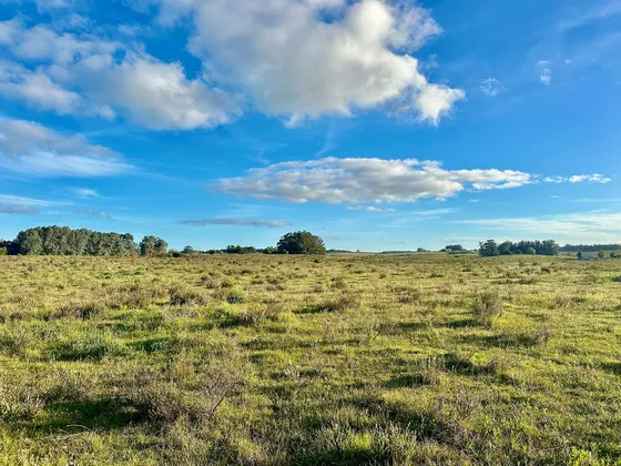 Venta De Chacra 5 Hectareas En Anastasio, Jose Ignacio