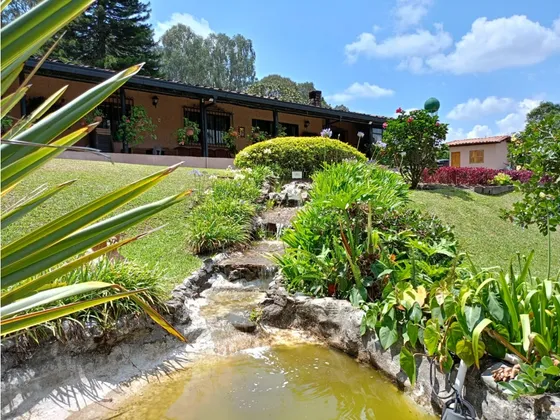 Finca En Venta En Llanogrande, Sector Flor Caribe