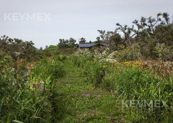 Venta Lote En Primera Sección Del Delta Del Paraná, Dos Rios. Lote 35