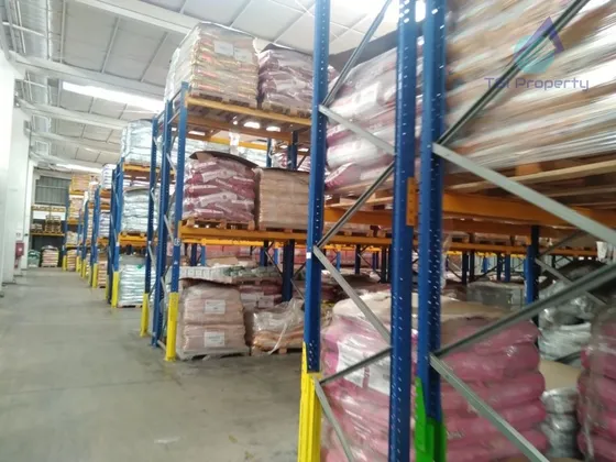 Bodega 2.810 Mt2 Y Terreno 5.000 Mt2 En Arriendo En Colina
