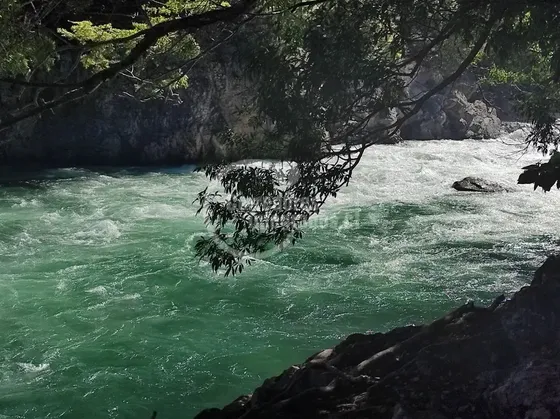 Sitio En Venta En Aysén