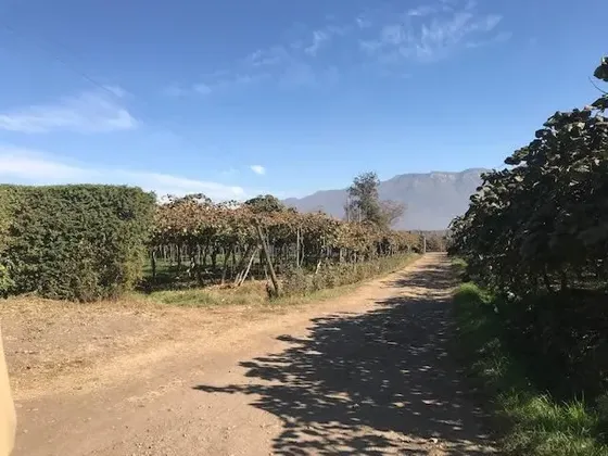 Terreno Construccion En Venta En Mostazal