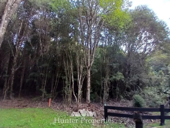 Parcela Con Riachuelo En Venta En Puerto Varas