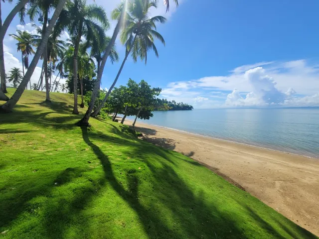 Proyecto De Ventas De Terrenos En Samaná
