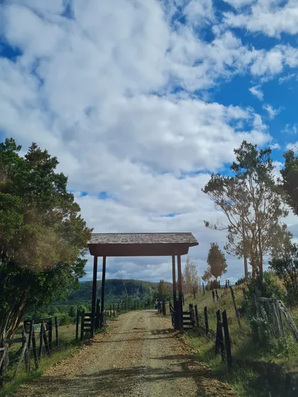 Lomas De Sarao Parcelas 5000 Mts