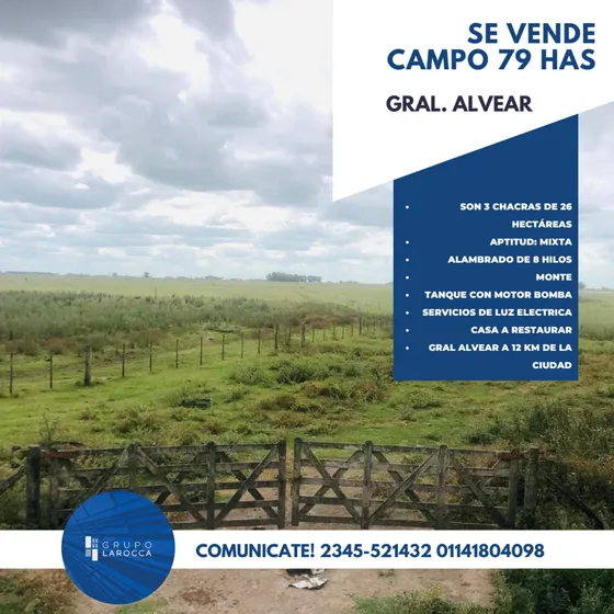 Campo - General Alvear