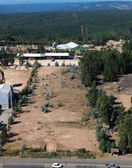 Terreno En Primera Línea Ruta L-30-m, San Ramón Constitución