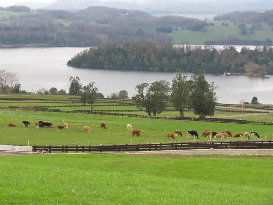 Sitio En Venta En Chauquen Panguipulli