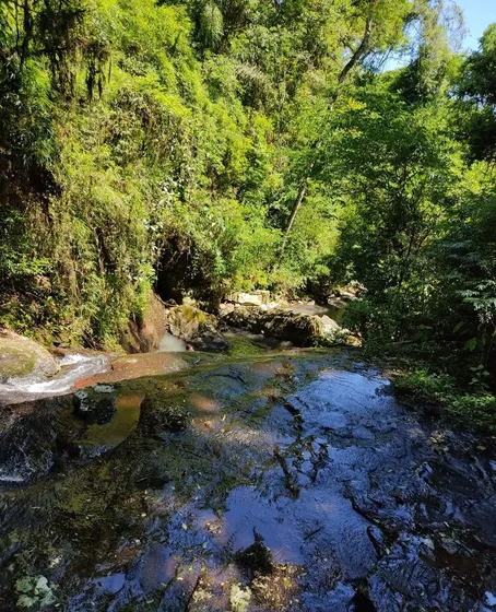 Chacra - Campo - 95 Has - El Soberbio - Guarani - Misiones 
