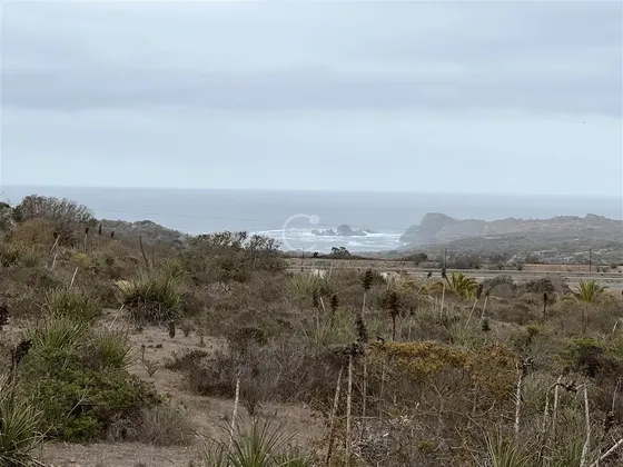 Sitio En Venta En Cond Rocas Del Mar - Los Molles