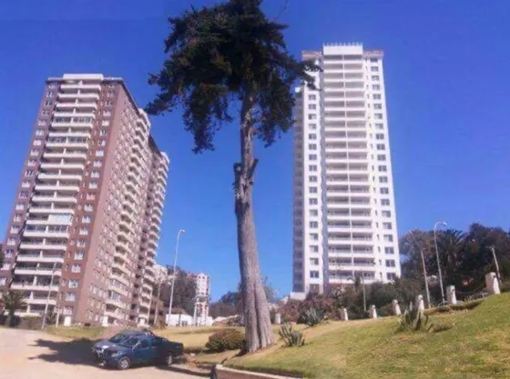 Vende Departamento Ideal Inversion Torpederas Playa Ancha 