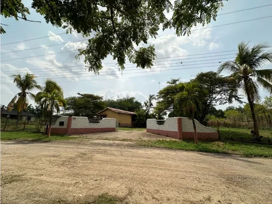 Casa En Venta En Safari Carabobo Tocuyito Mrr-7429738