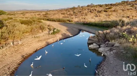 Venta Rancho 0 Ambiente El Ocote