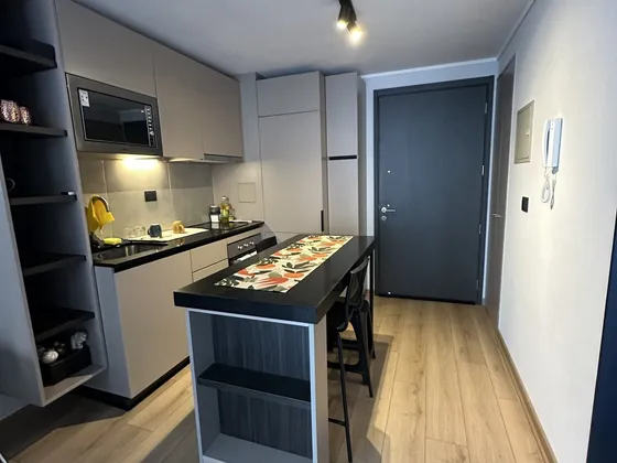 Arriendo Depto Nuevo Amoblado | 1d1b+e+b | Monseñor Eyzaguir