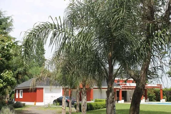 Quinta | Castilia Al 800
