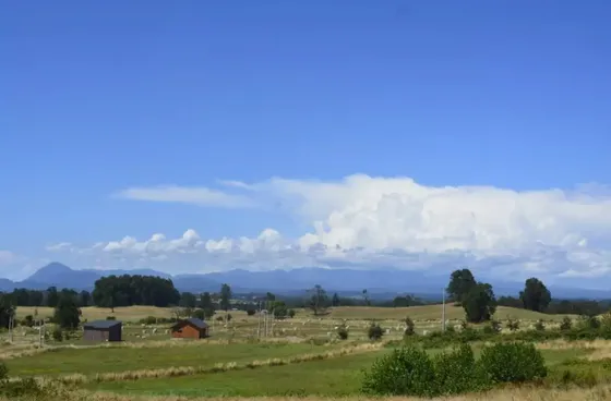 Vendo Parcela De Agrado En Sector Vivanco, Lago Ranco