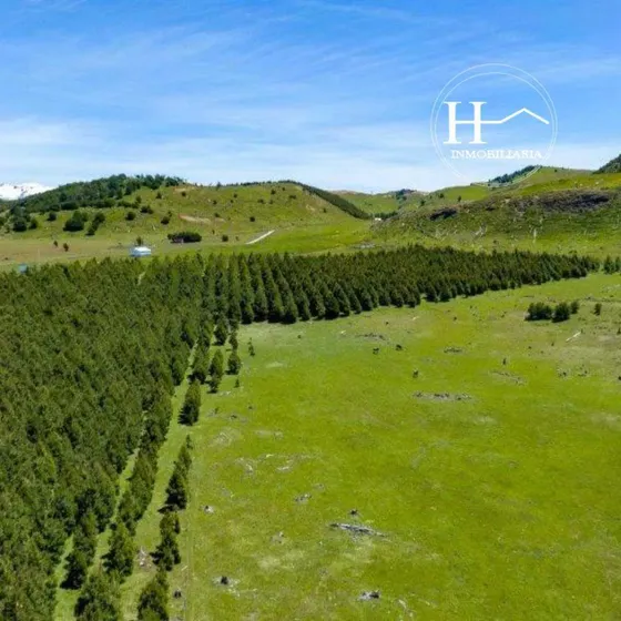 Parcelas En Cerro Galera 5.000 M², Coyhaique (172837)