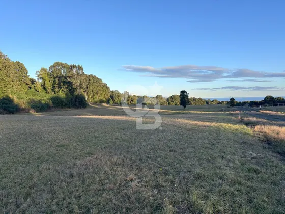 Hermosa Parcela Con Vista Al Lago, Puerto Octay