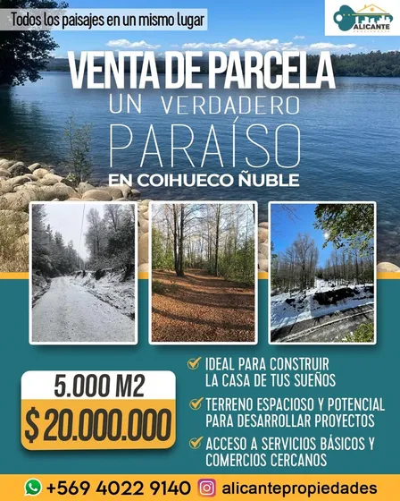 Parcela En Venta En Coihueco, Ñuble