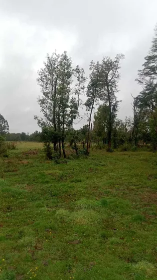 Parcela Precio Rebajado Comuna Los Lagos (99618)