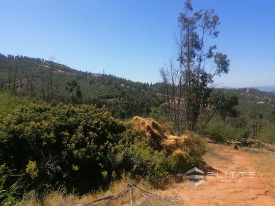 Parcela En Venta En Villa Alemana