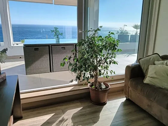Arriendo Año Corrido Amoblado 2d 2b